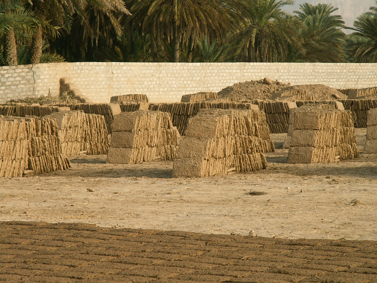 Near Saywun - Making mud bricks