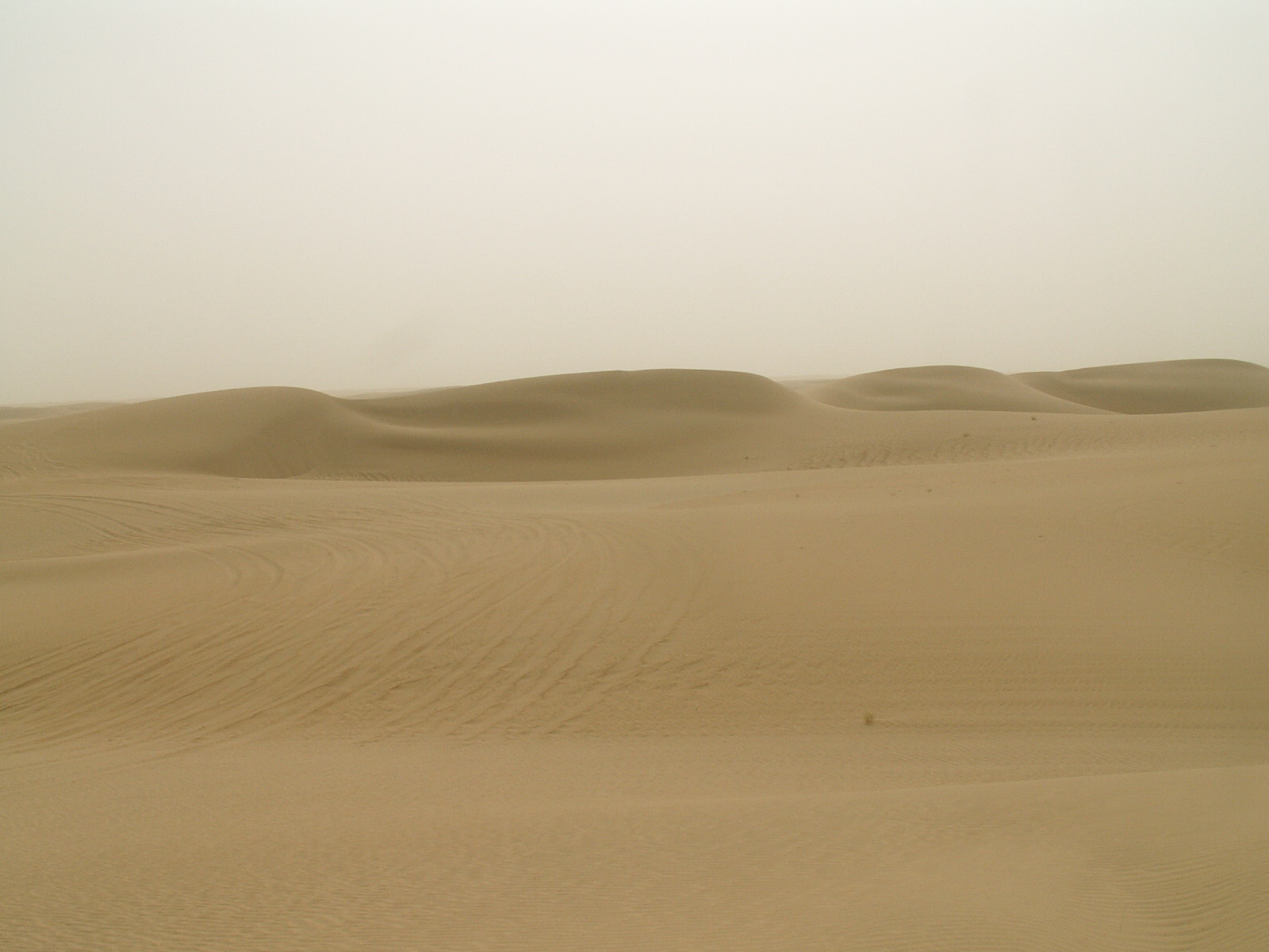 Ramlat as Sabatayn - Desert