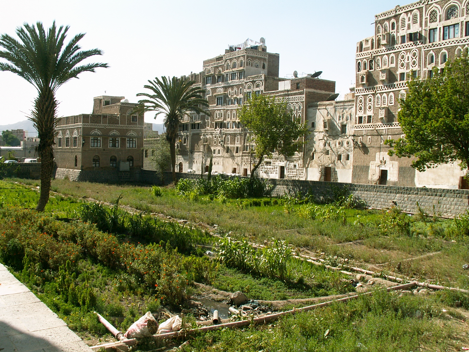 San'a' - Garden