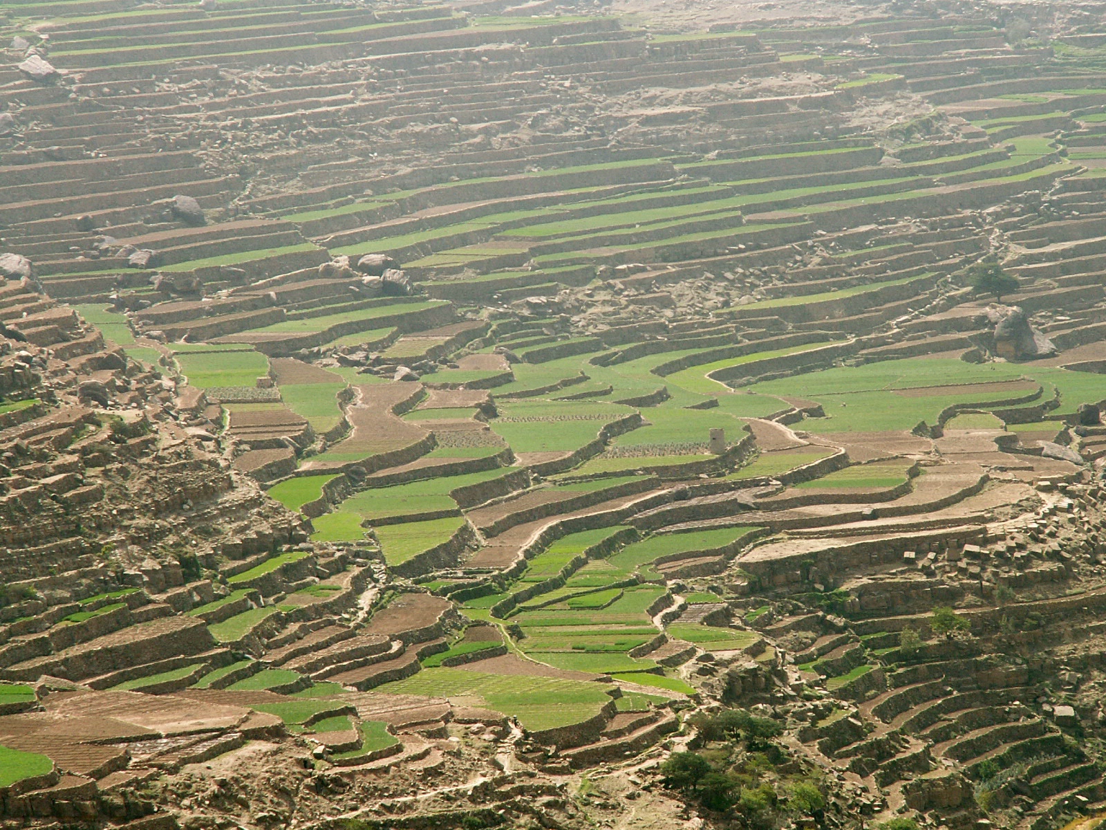 Near Kawkaban