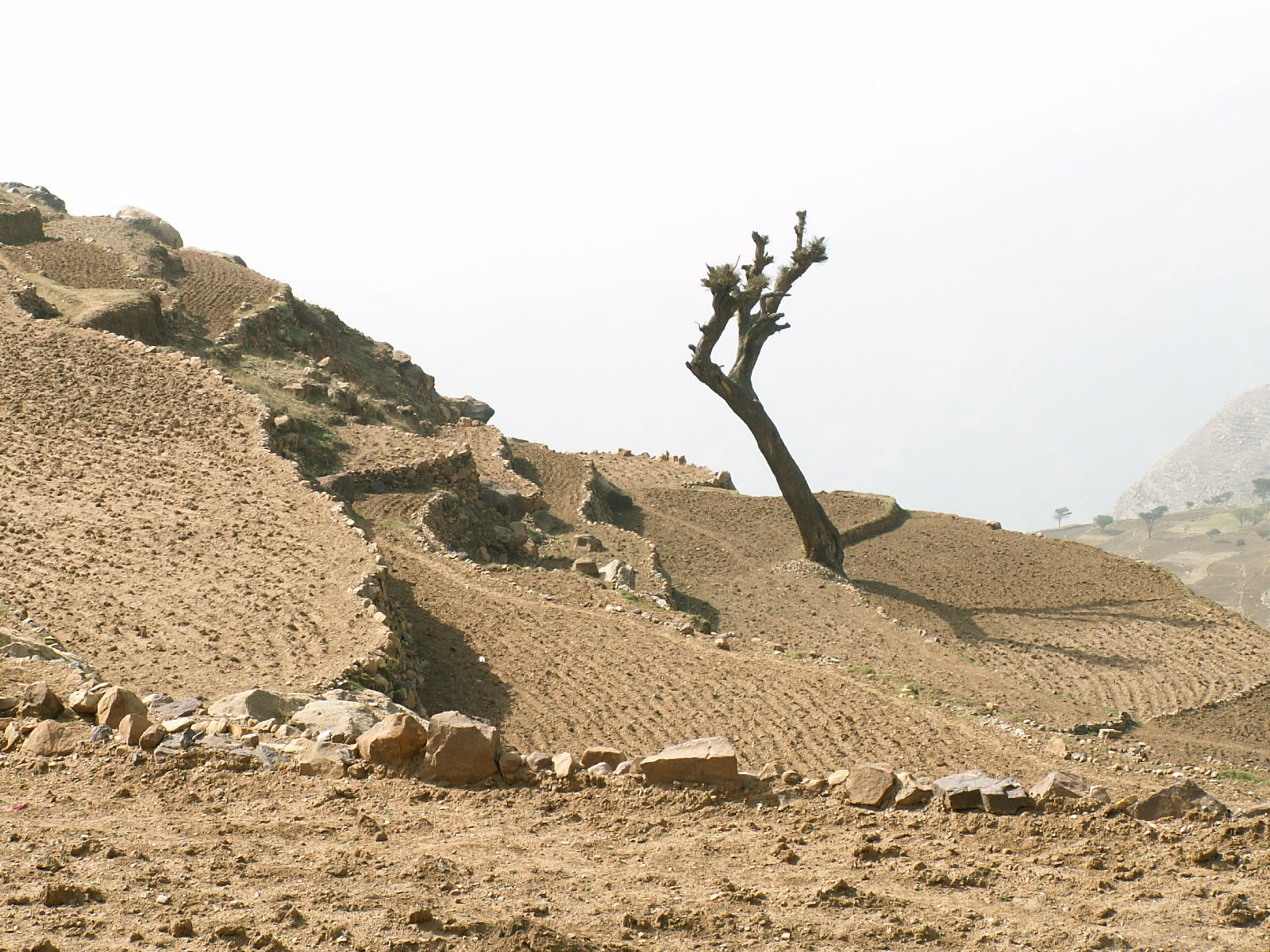 Near Kawkaban
