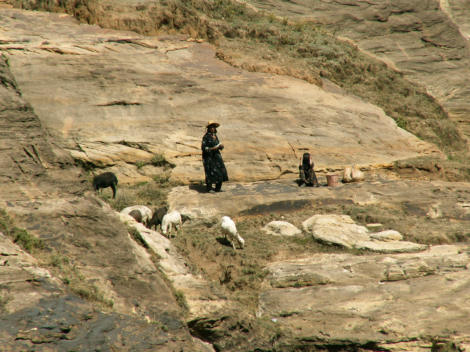 Wadi Gazuan - Shepherds