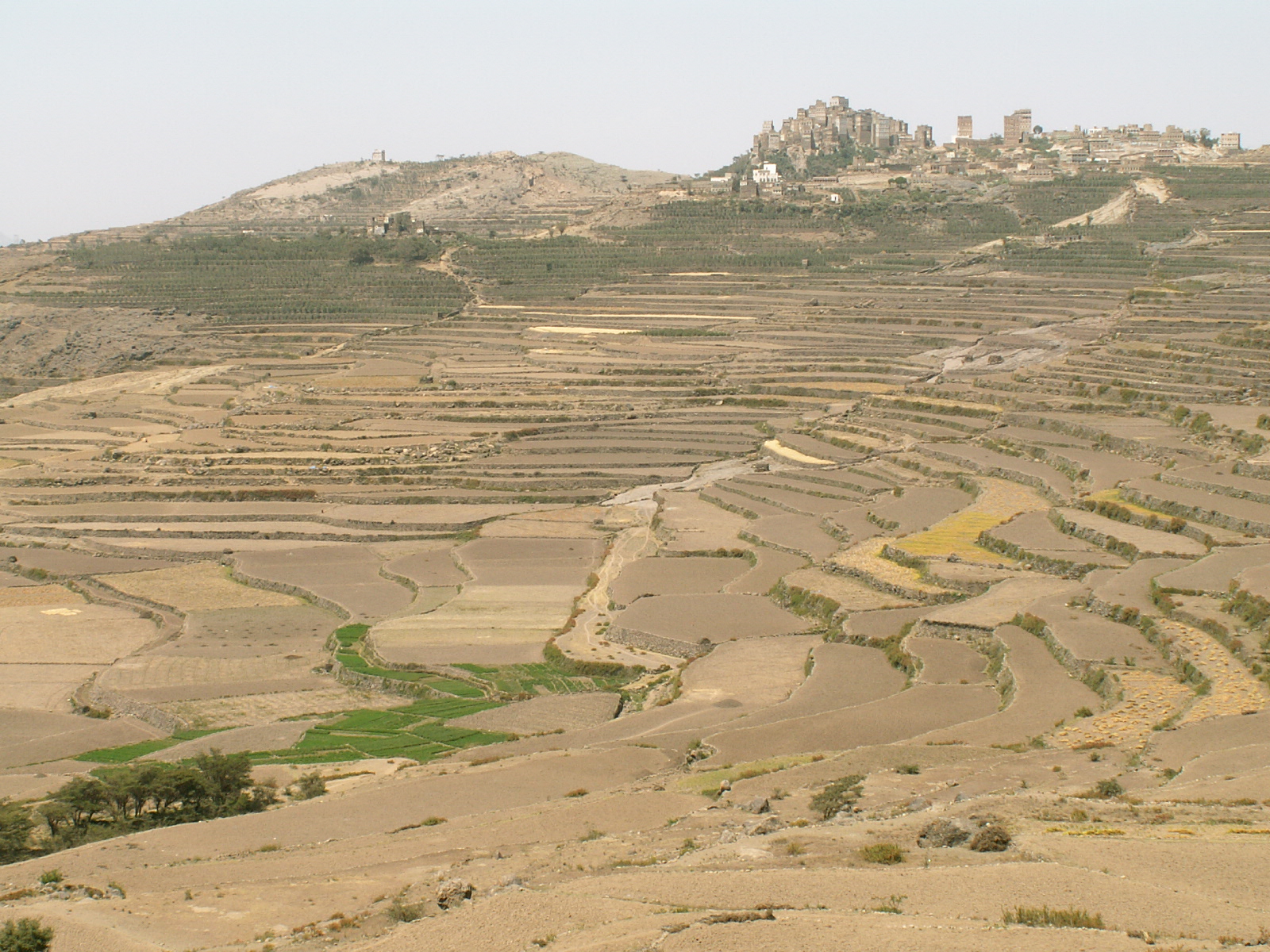 Near Manakhah
